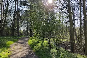 Trowse Woods image
