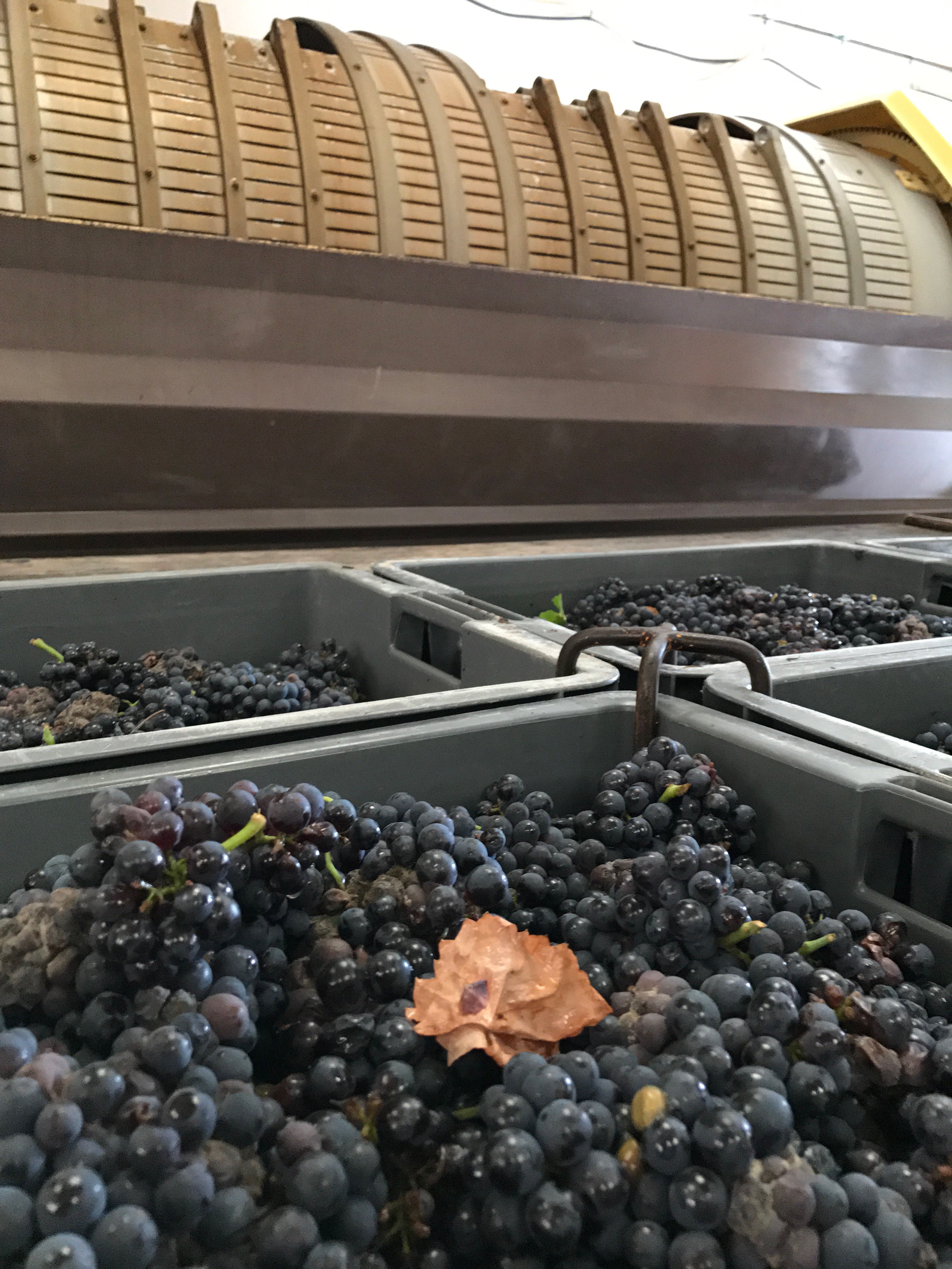 Photo n° 6 de l'avis de Eric.E fait le 25/07/2020 à 20:09
