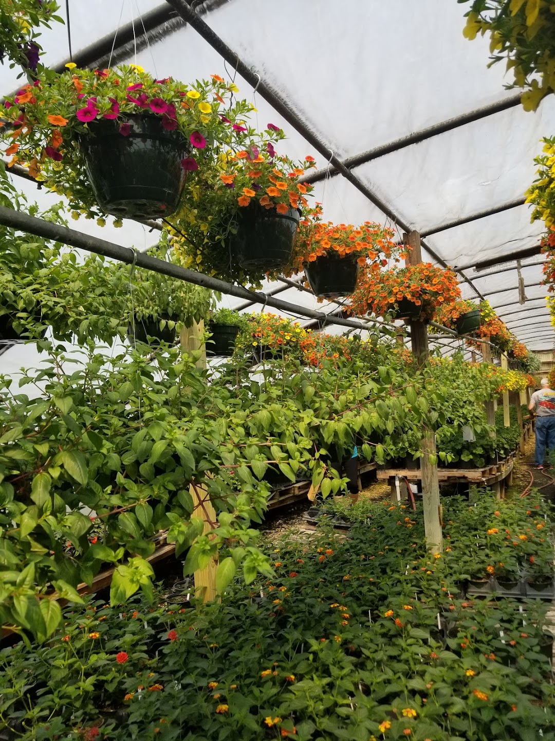 Town & Country Florist & Greenhouses