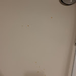 Photo n°2 de l'avis de tray2904. fait le 27/11/2023 à 14:55 sur le  B&D Hotel à Hanover