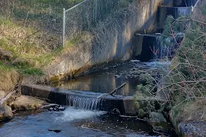 Mayfield Pond Park image