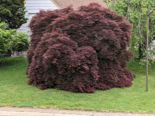 Shopping Mall «Bond Shopping Center», reviews and photos, 1891 S State Rd, Upper Darby, PA 19082, USA