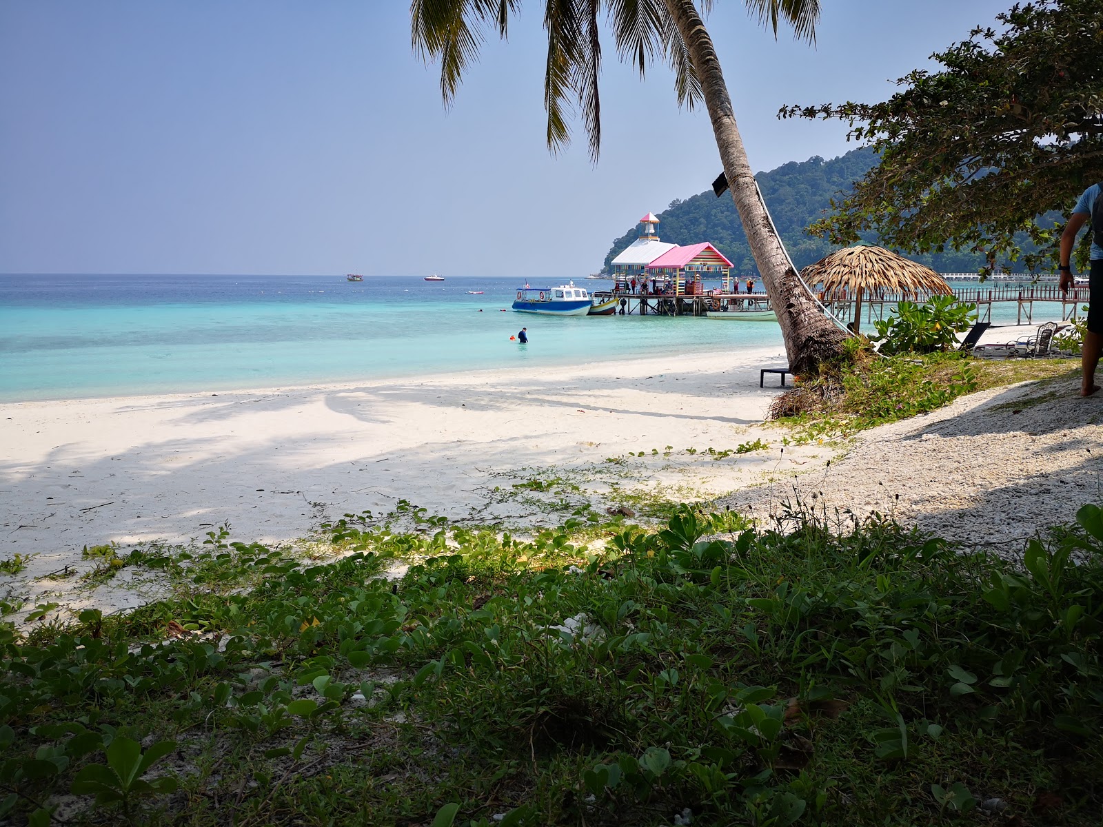 Φωτογραφία του Παραλία του θερέτρου Summer Bay. και το όμορφο τοπίο του