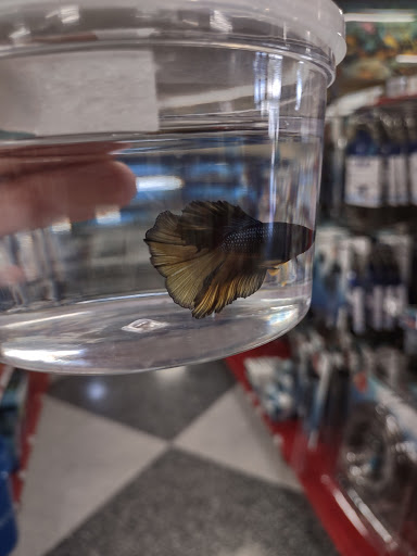 Pet Supply Store «Petco Animal Supplies», reviews and photos, 430 N Euclid St, Anaheim, CA 92801, USA