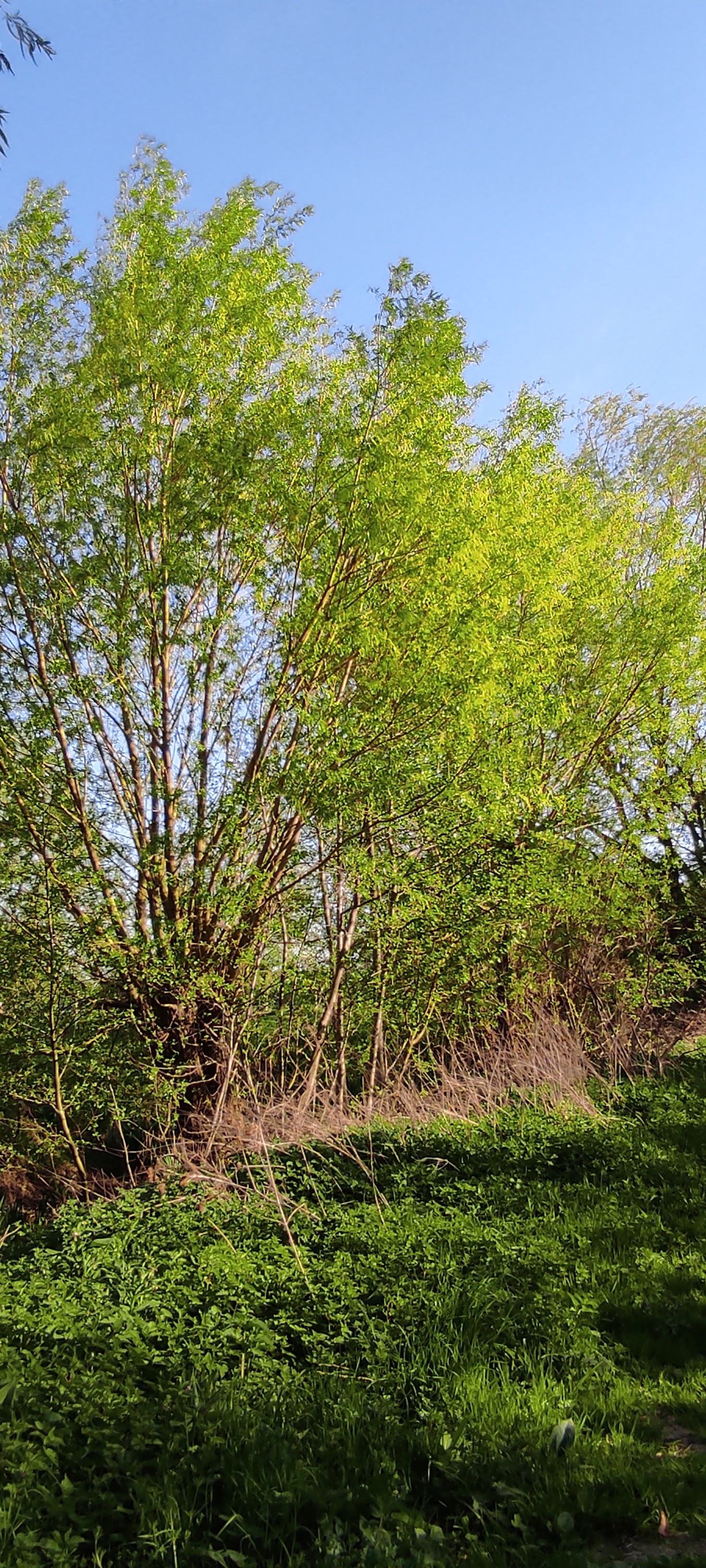 Photo n° 26 de l'avis de barbara.i fait le 21/04/2022 à 17:26