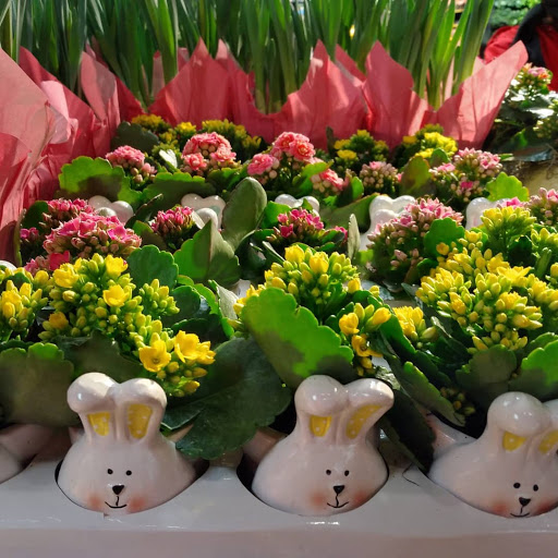 Supermarket «Giant Eagle Supermarket», reviews and photos, 2390 W Prospect Rd, Ashtabula, OH 44004, USA