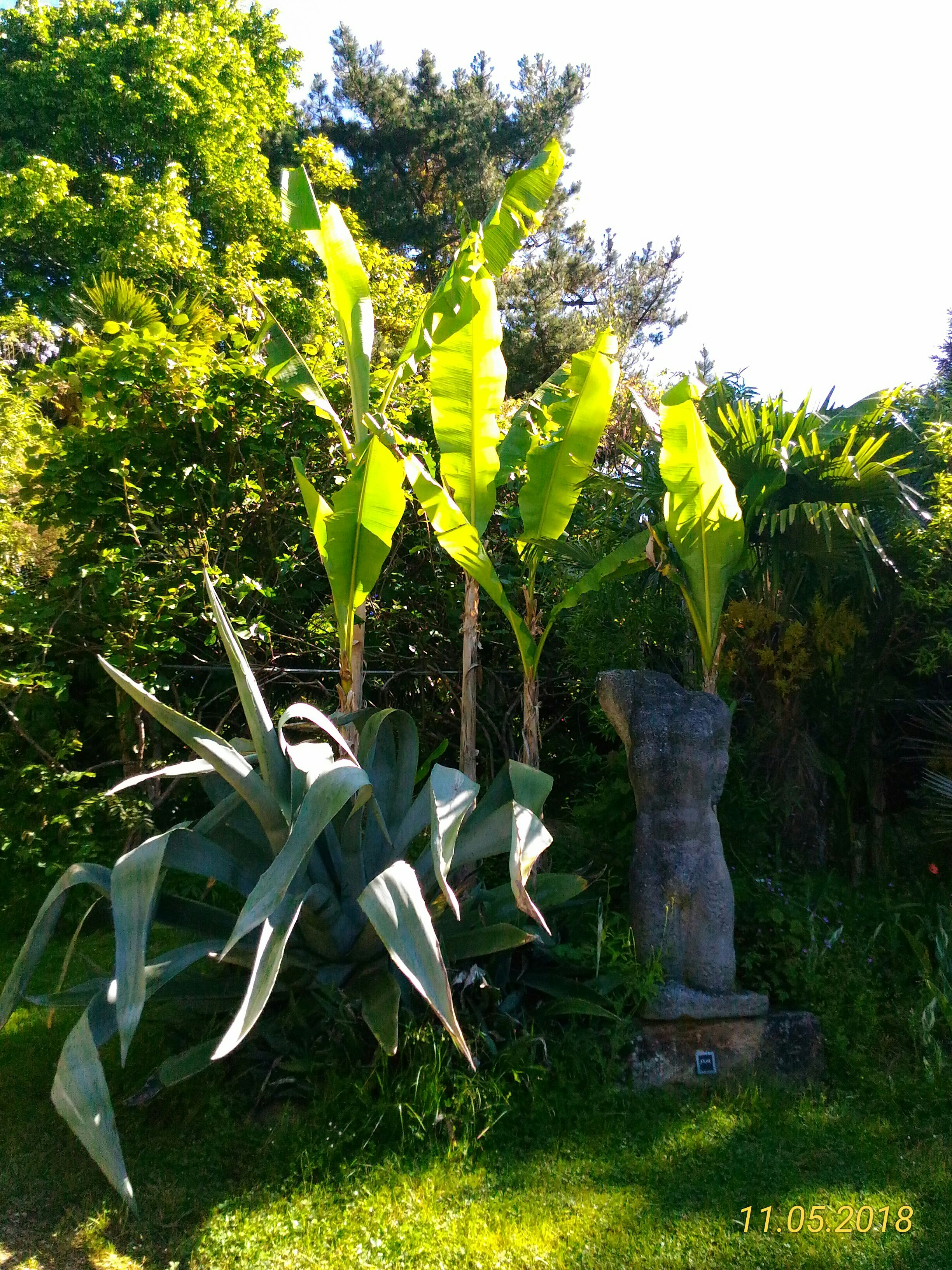 Photo n° 10 de l'avis de Marie.a fait le 13/05/2018 à 04:32