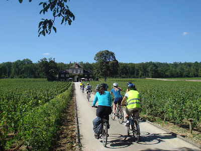 Bourgogne Evasion by Active Tours Dijon à Dijon