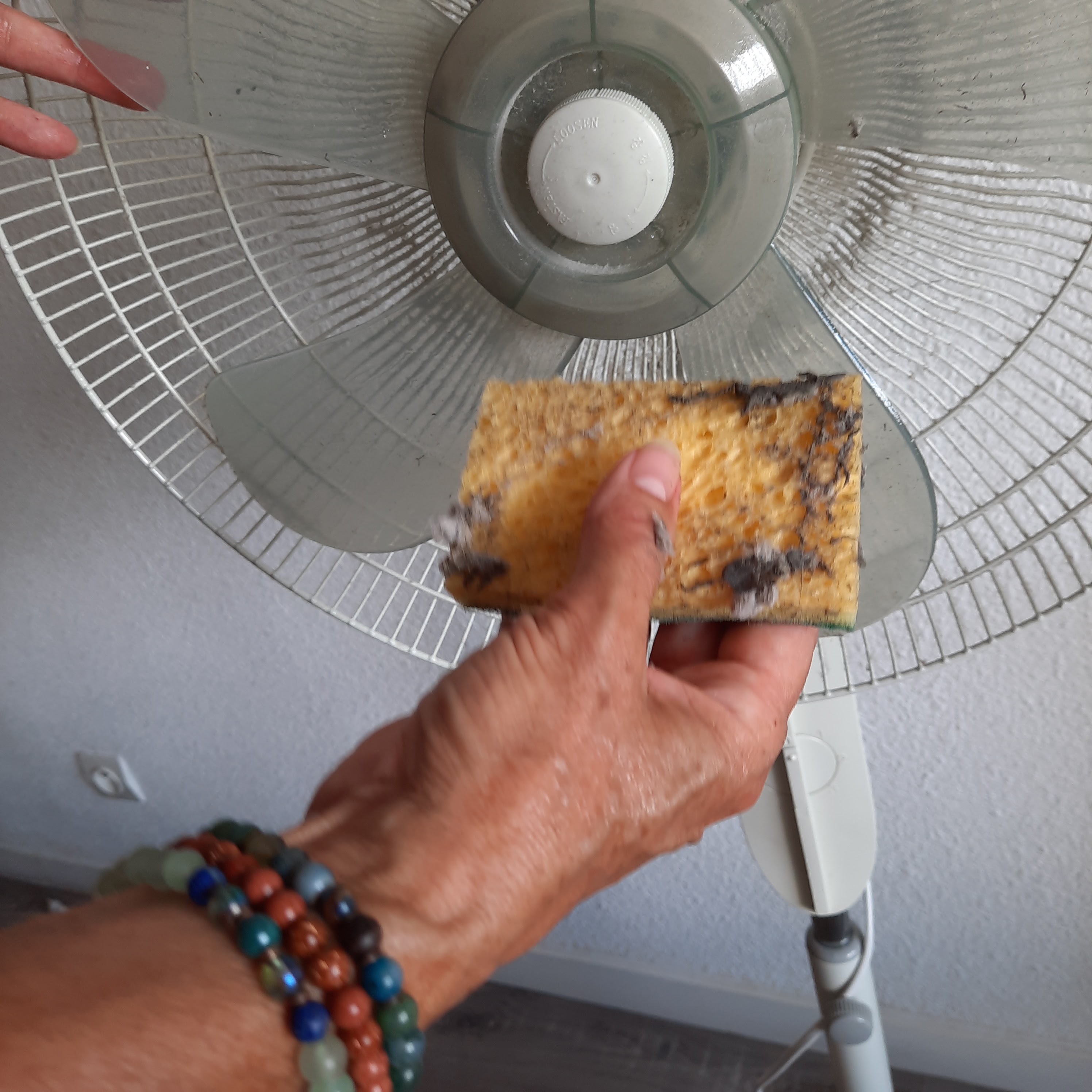 Photo n° 1 de l'avis de Francoise.a fait le 31/07/2022 à 21:45