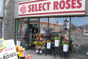 Select Roses