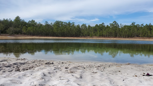 National Forest «Apalachicola National Forest», reviews and photos, Stateroad 13, Sopchoppy, FL 32358, USA