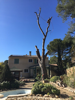 PMS Élagage à Lambesc