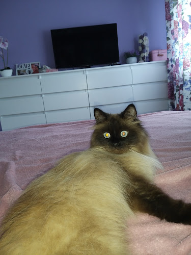 Leonard Gugała Przychodnia weterynaryjna małych zwierząt | Grupa EDINA - Weterynarz