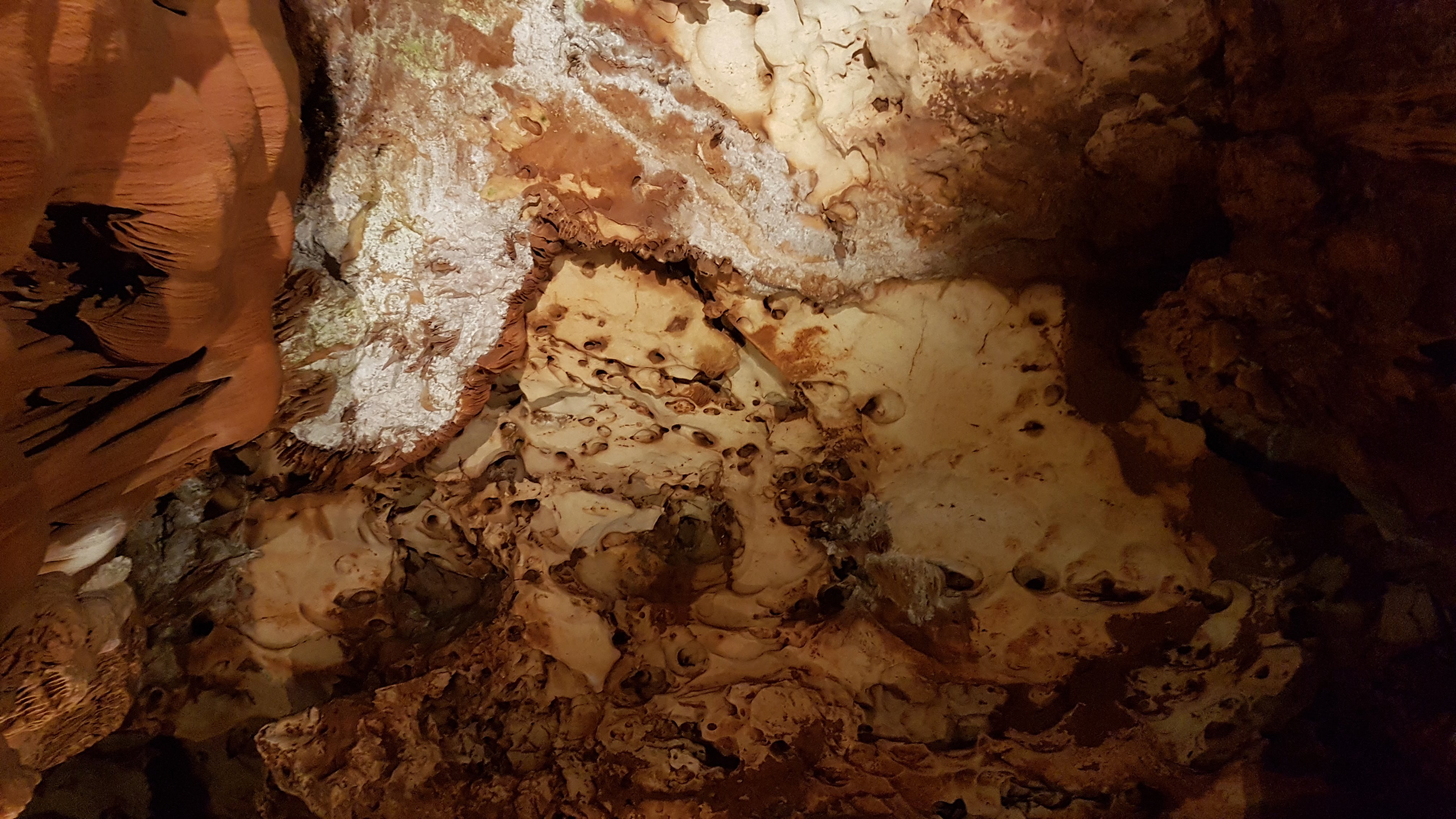 Photo n° 34 de l'avis de LAMOLE.a fait le 06/09/2018 à 20:19