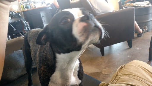 Barber Shop «Vintage Barber Shoppe», reviews and photos, 411 Roseville Square, Roseville, CA 95678, USA