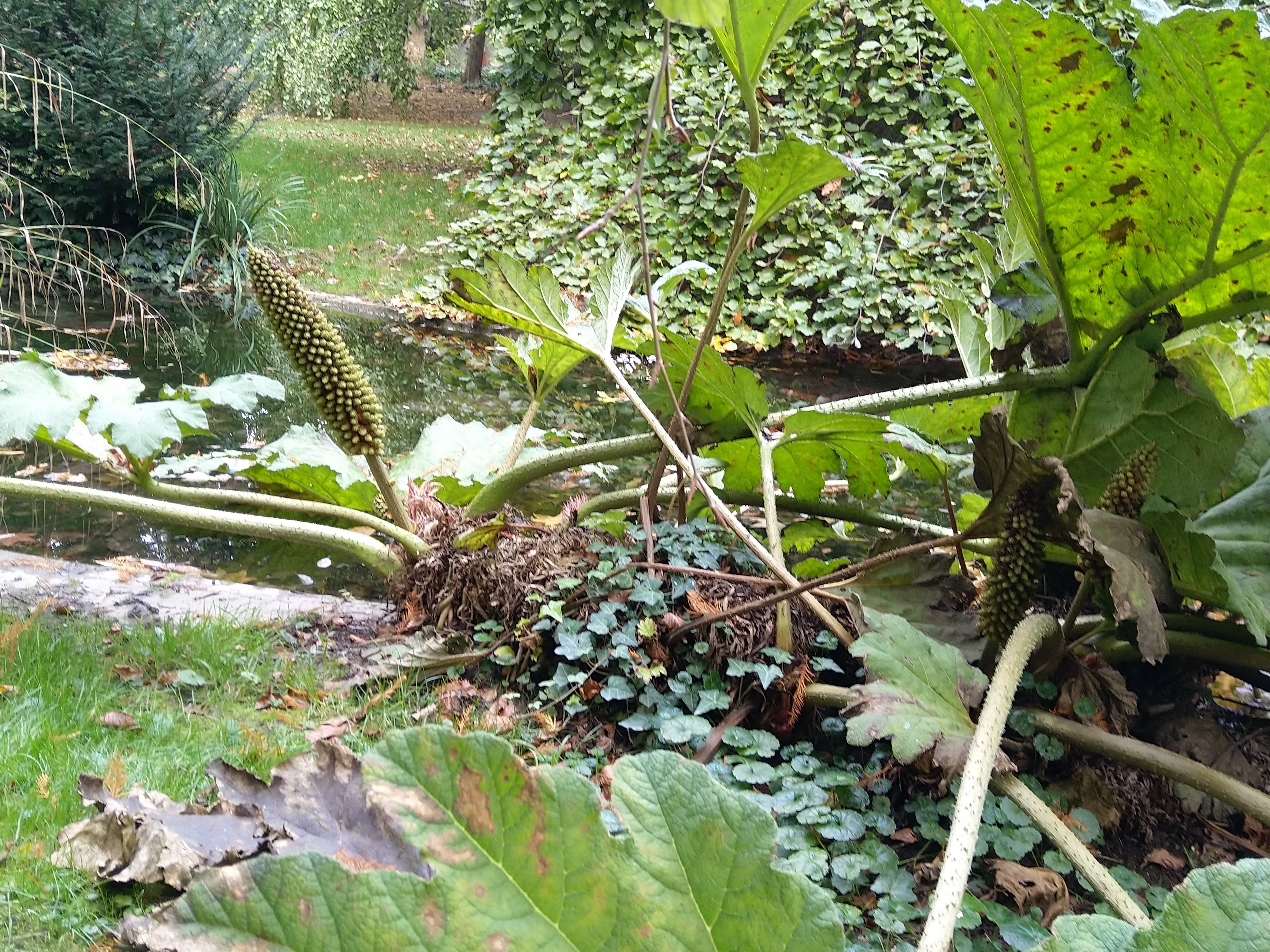 Photo n° 9 de l'avis de Marie-Laure.e fait le 30/10/2018 à 09:37