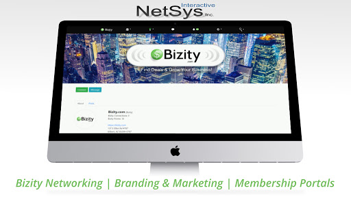 NetSys Interactive Inc.