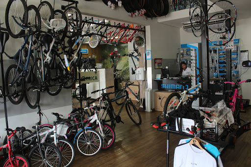 Logo da empresa - Global Bicicletas
