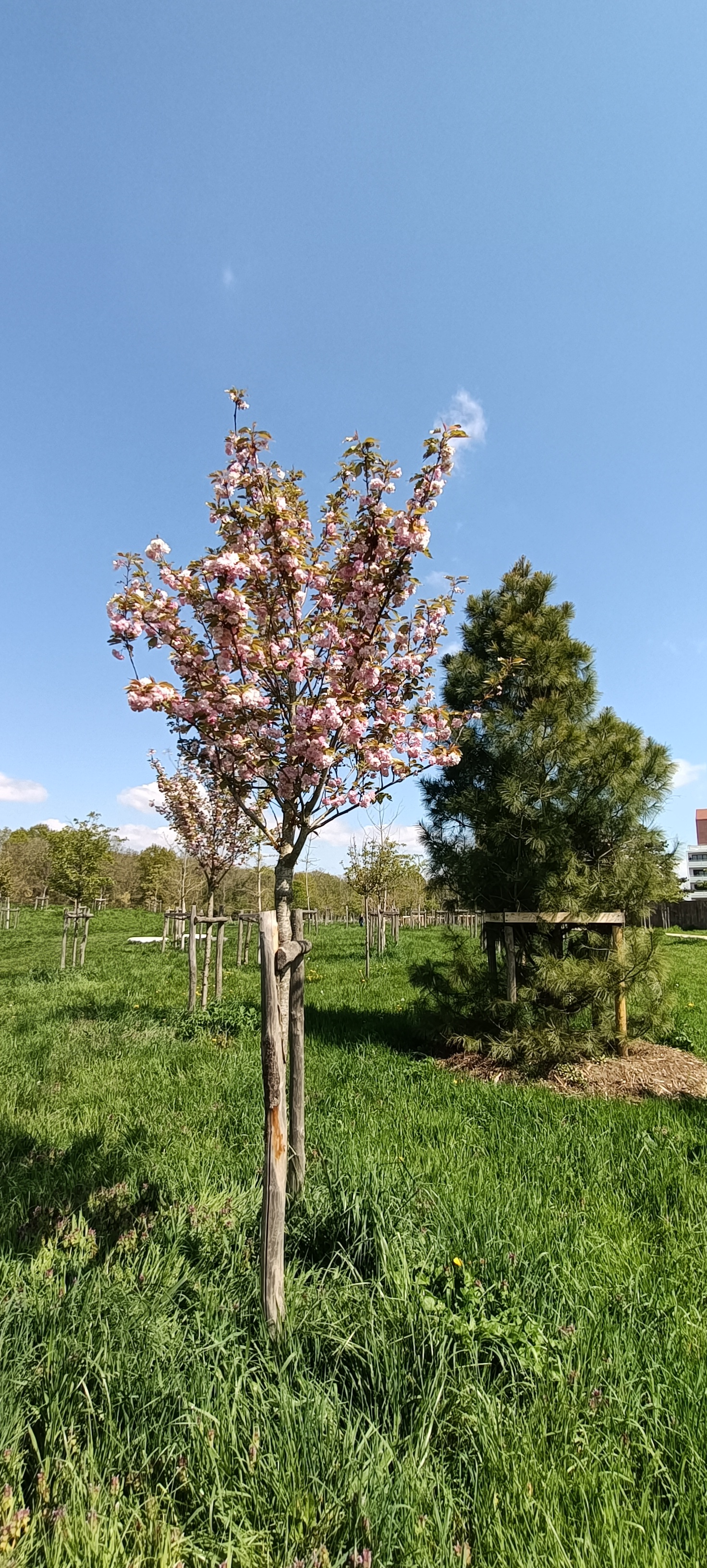 Photo n° 38 de l'avis de Seb.s fait le 19/04/2023 à 15:12
