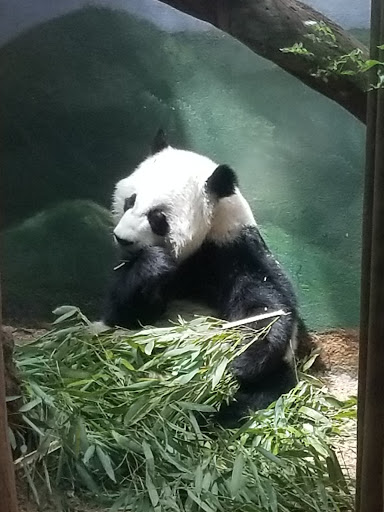 Natural History Museum «Fernbank Museum of Natural History», reviews and photos, 767 Clifton Rd, Atlanta, GA 30307, USA