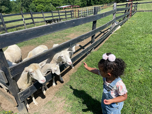 Wedding Venue «Rancho Alegre Farm», reviews and photos, 2225 Givens Rd, Dacula, GA 30019, USA