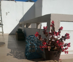 La casa de bruno photo