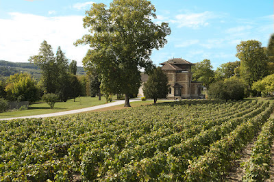 Champagne Pierre Lété à Damery