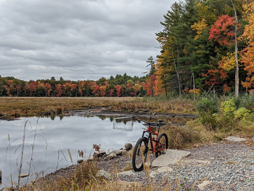 State Park «Lowell-Dracut-Tyngsborough State Forest», reviews and photos, Trotting Park Rd, Dracut, MA 01826, USA