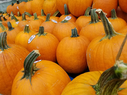 Grocery Store «Devon Market», reviews and photos, 1440 W Devon Ave, Chicago, IL 60660, USA