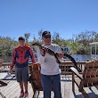 Everglades Day Safari: Sanibel Pickup