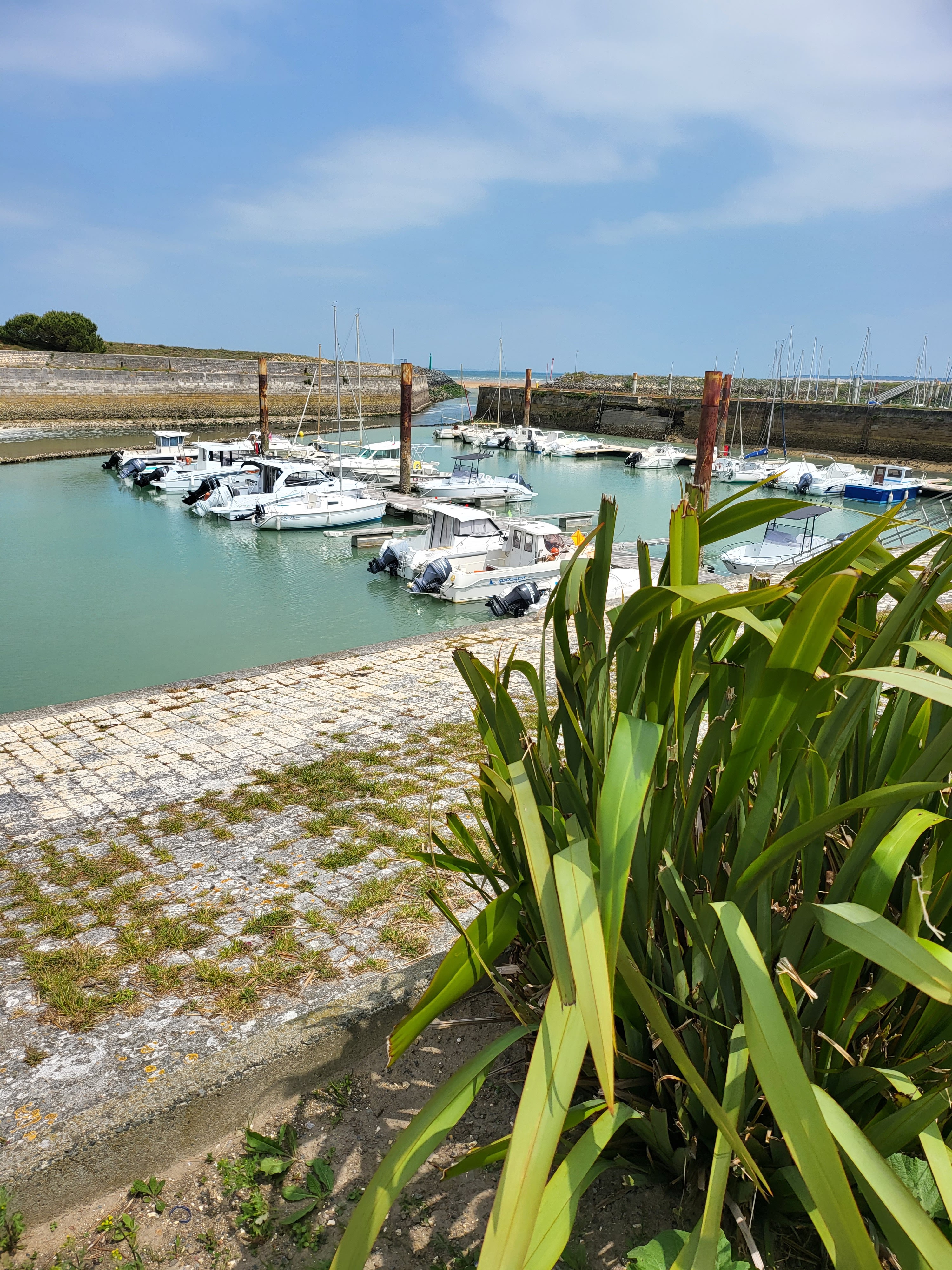 Photo n° 7 de l'avis de Lydie. fait le 24/05/2023 à 13:04