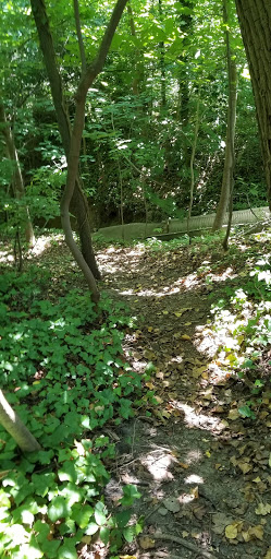 Historical Place «Hadrosaurus Foulki Leidy Site», reviews and photos, Maple Ave, Haddonfield, NJ 08033, USA