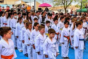 Taekwondo Rubén Hita Granada image