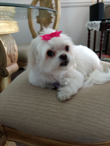 Movie Theater «Showcase Cinemas North Attleboro», reviews and photos, 640 S Washington St, North Attleborough, MA 02760, USA