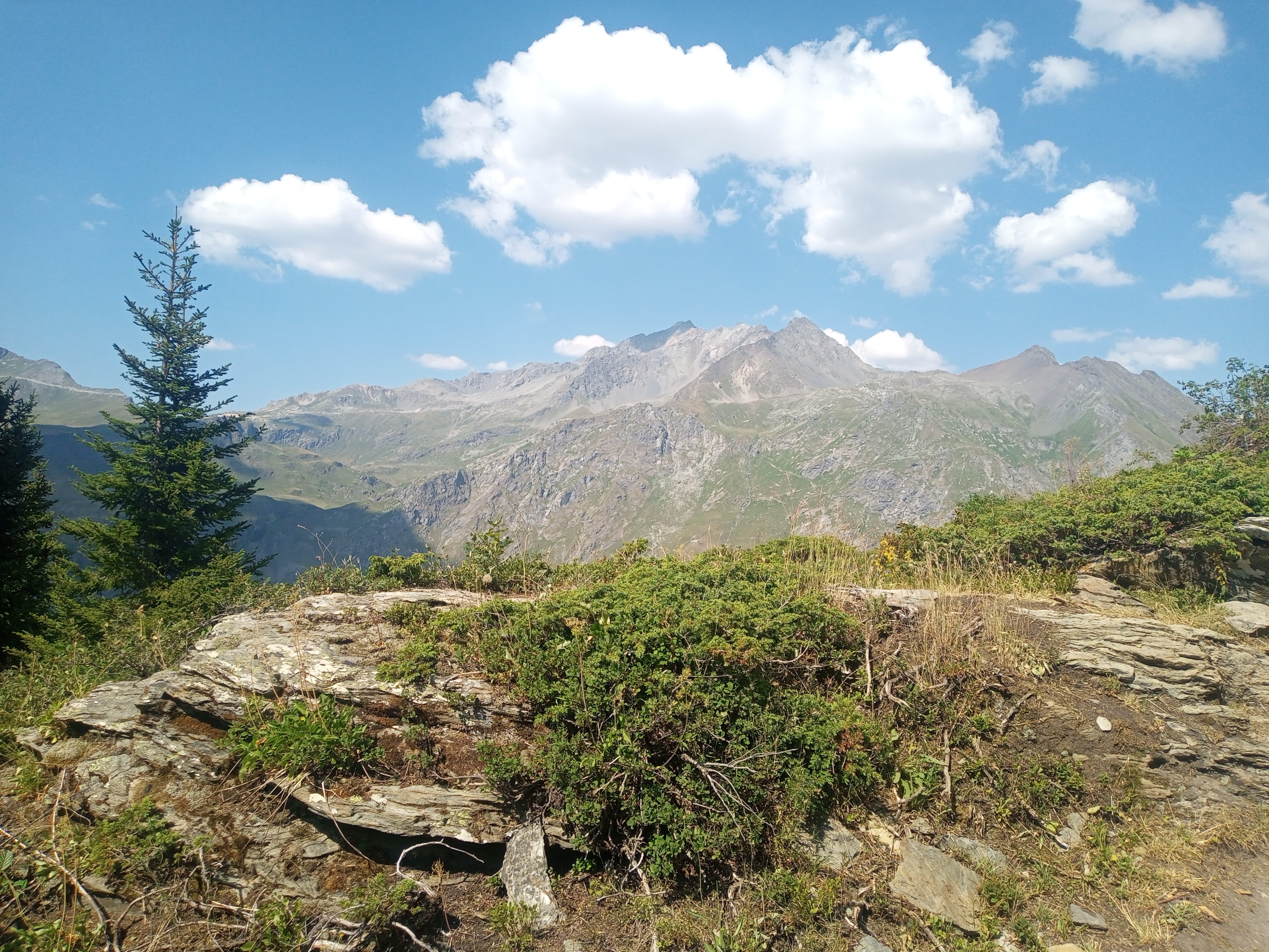 Photo n° 4 de l'avis de Joris.e fait le 20/07/2022 à 10:21