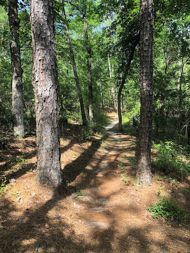 Thomson Trails