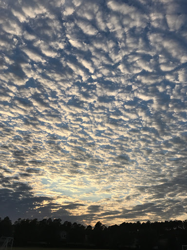 Golf Club «The Golf Club at South Hampton», reviews and photos, 315 S Hampton Club Way, St Augustine, FL 32092, USA