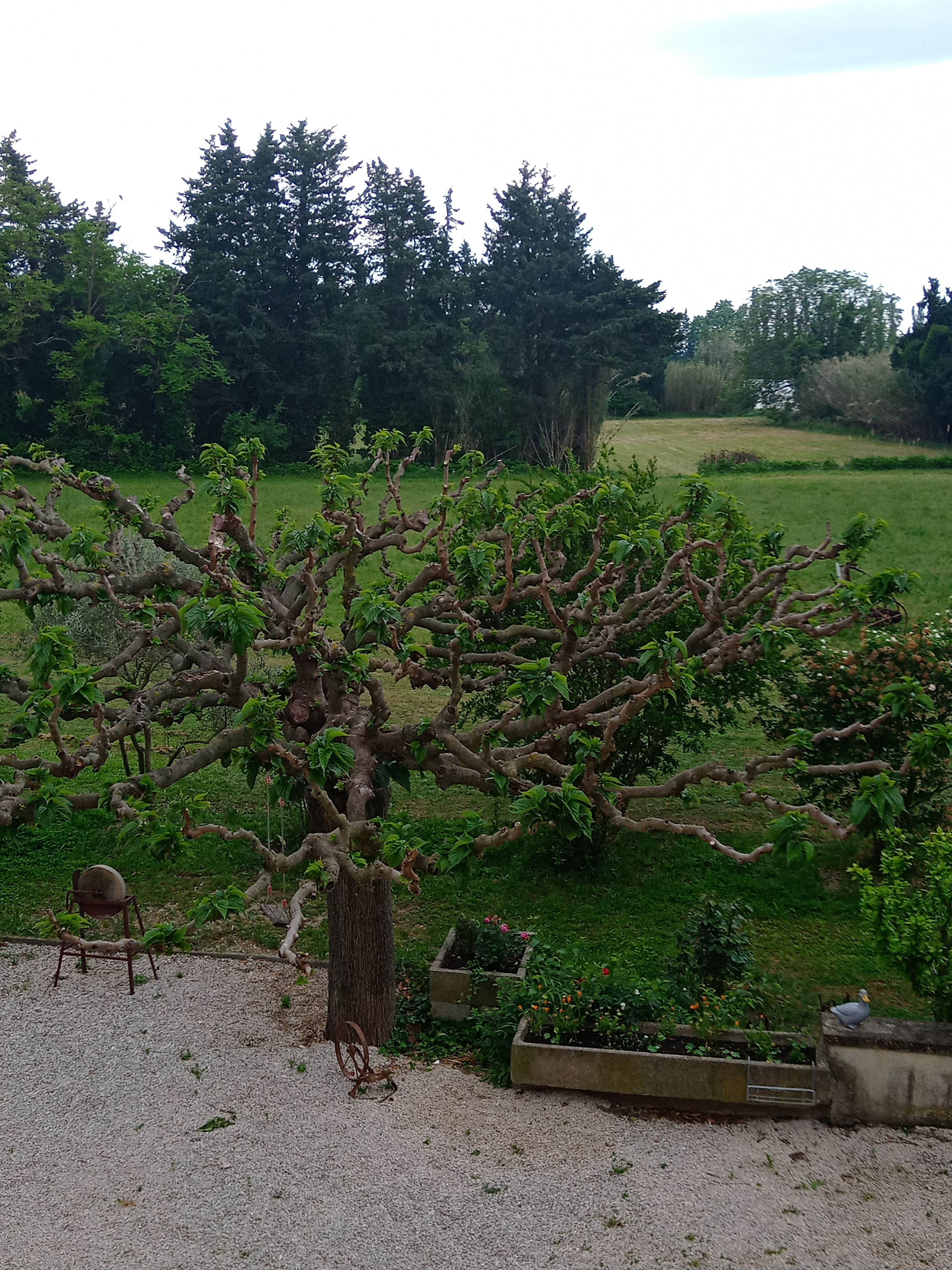 Photo n° 4 de l'avis de Myriam.a fait le 18/05/2022 à 13:55