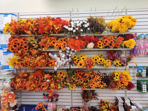 Dollar Store «Dollar Tree», reviews and photos, 11150 Research Blvd, Austin, TX 78759, USA