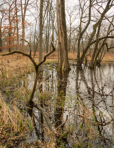Nature Preserve «Grant Woods Forest Preserve», reviews and photos, 25405 W Monaville Rd, Ingleside, IL 60041, USA