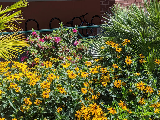 Supermarket «Publix Super Market at Ashley Landing», reviews and photos, 1401 Sam Rittenberg Blvd, Charleston, SC 29407, USA