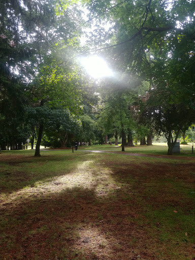 Concert Hall «Marymoor Park Concerts», reviews and photos, 6046 West Lake Sammamish Pkwy NE, Redmond, WA 98052, USA