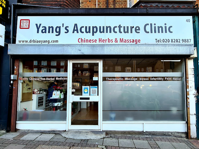 Yang's Acupuncture Clinic - Doctor