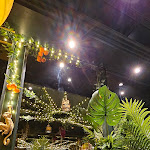 Photo n°1 de l'avis de NasterSN. fait le 20/02/2024 à 20:59 sur le  Dal Moro's SpritzEat à Venice