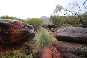 Ikara-Flinders Ranges National Park image