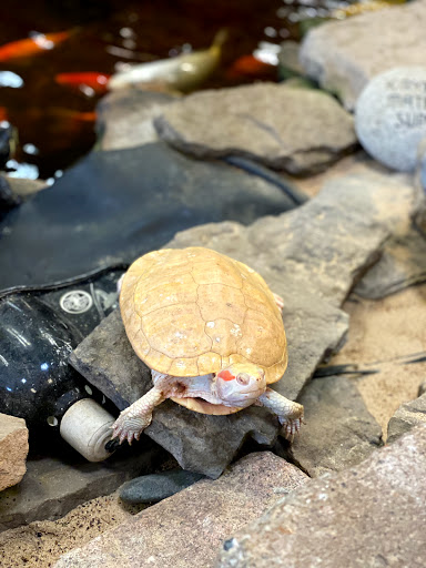 Landscaping Supply Store «Kirkwood Material Supply», reviews and photos, 800 S Fillmore Ave, Kirkwood, MO 63122, USA