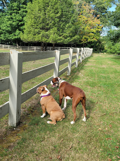 Dog Park «Danvers Dog Park», reviews and photos, 29 Ingersoll St, Danvers, MA 01923, USA