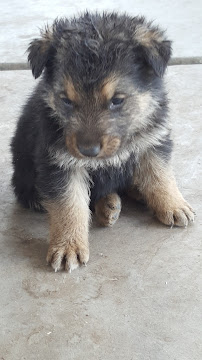 T&G Tire Shop - Photo 6 - Car repair in Tucson, AZ, Tucson