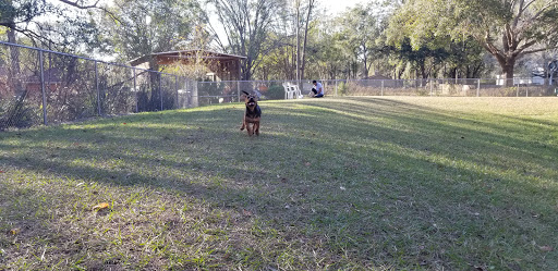Park «Lutz Dog Park», reviews and photos, 122 1st Ave SW, Lutz, FL 33548, USA