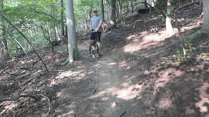 Saw Mill Branch meets Buzzard Rock trails